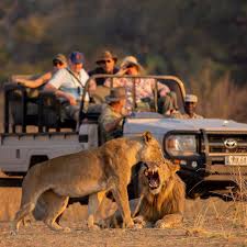 3 Days Northern Highlights Safari – Tarangire & Ngorongoro Crater photo 2