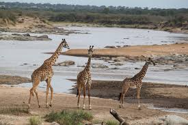 3 Days Northern Highlights Safari – Tarangire & Ngorongoro Crater photo 4
