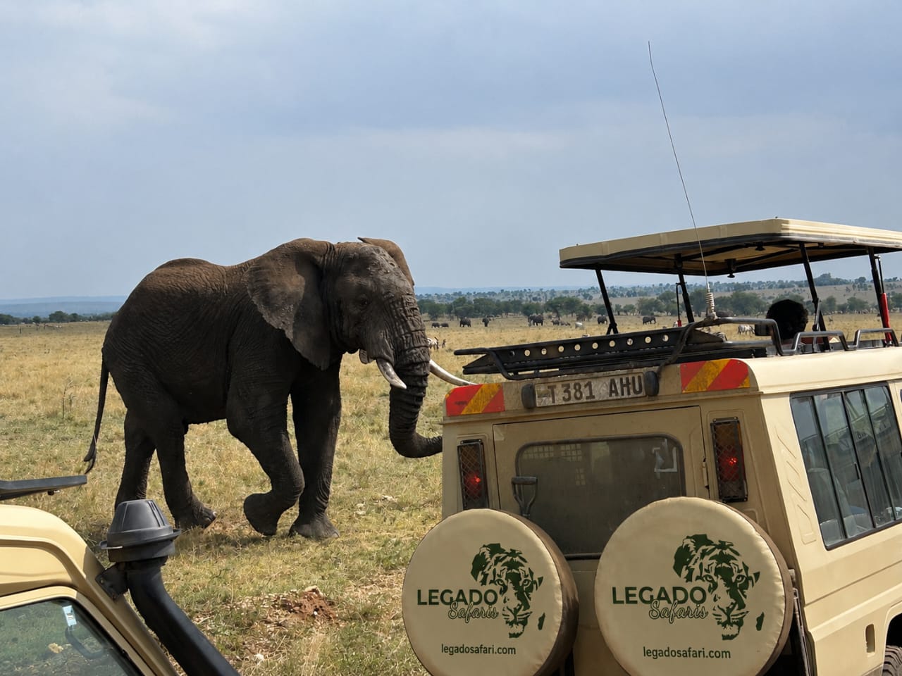6 Days Tarangire, Ngorongoro & Zanzibar Beach Escape photo 1
